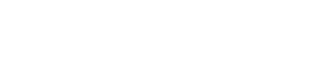 OneHockey